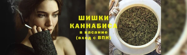 бошки Алексин