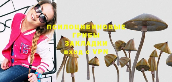 бошки Алексин