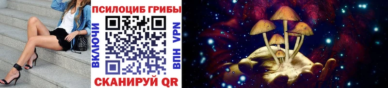Галлюциногенные грибы GOLDEN TEACHER  Петровск-Забайкальский 